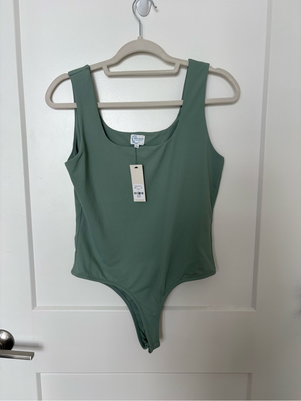 Francesca’s Sage Green mostly nylon One-Piece Bodysuit